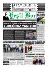 YEŞİL BOR