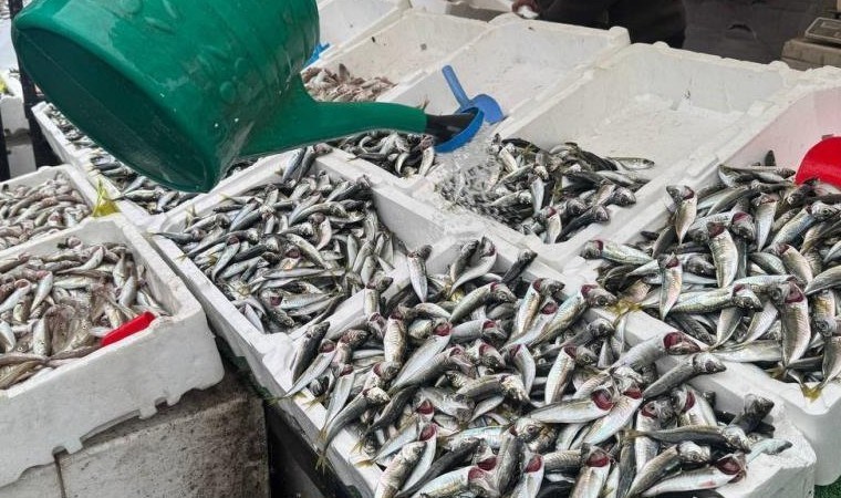 Yoğun ilgi nedeniyle tükenme noktasına geldi! Kilosu 70 TL’ye düştü…