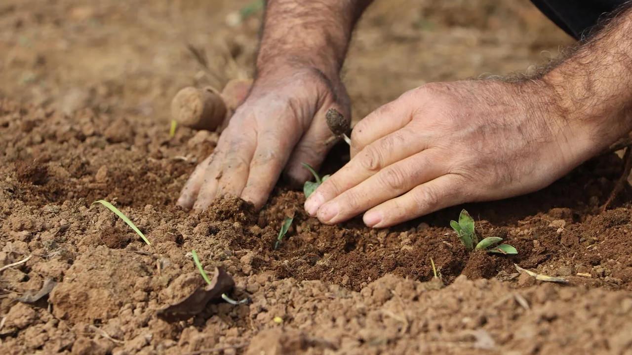 Fiyatı altından farksız! 3 bin TL'ye tırmanan saleple gelirlerini katladılar