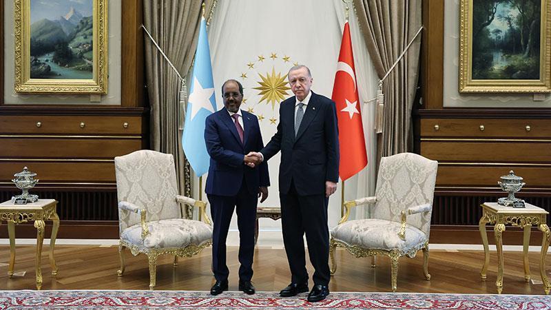 Cumhurbaşkanı Erdoğan, Somali Cumhurbaşkanı Mahmud ile bir araya geldi
