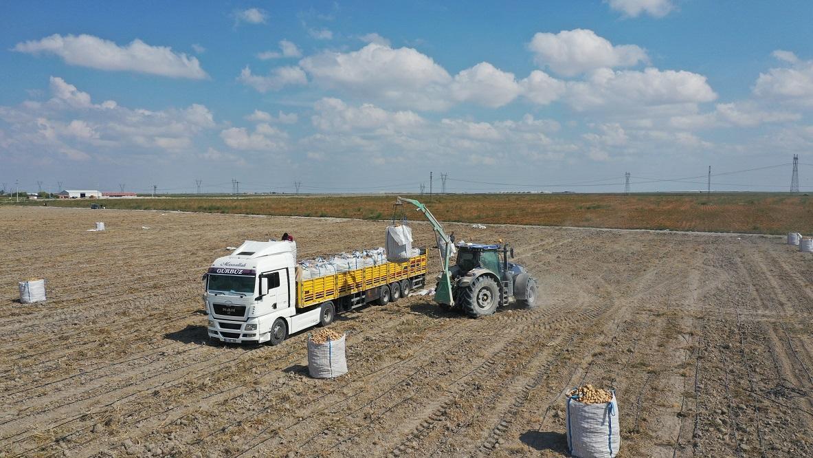 Erkoyuncu: 2027’de patates tohumunu dış alıma ihtiyaç duymadan üreteceğiz