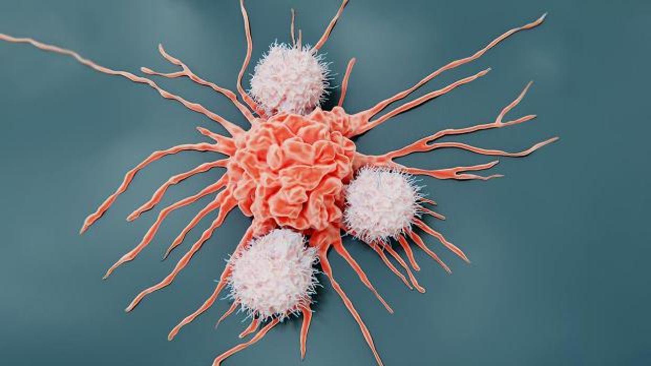 Kansere yol açtığı ortaya çıktı! Tüketmeden önce 1 kez daha düşünün