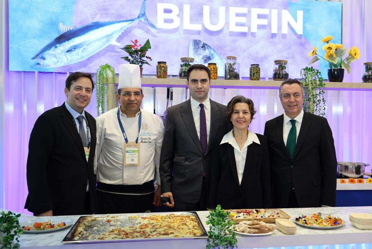 Afrika sahillerinde Türk filosu! 4 bin 500 gemiyle rekora koşuyoruz