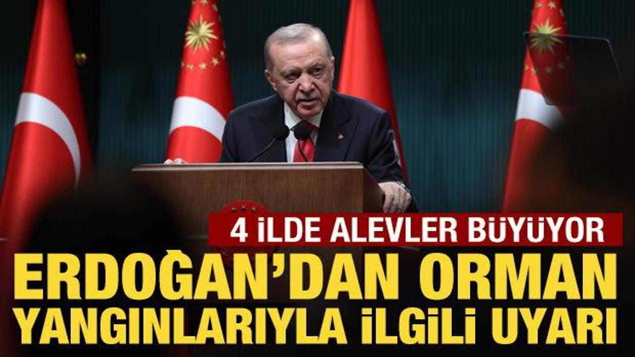 Cumhurbaşkanı Erdoğan’dan orman yangınlarıyla ilgili açıklama